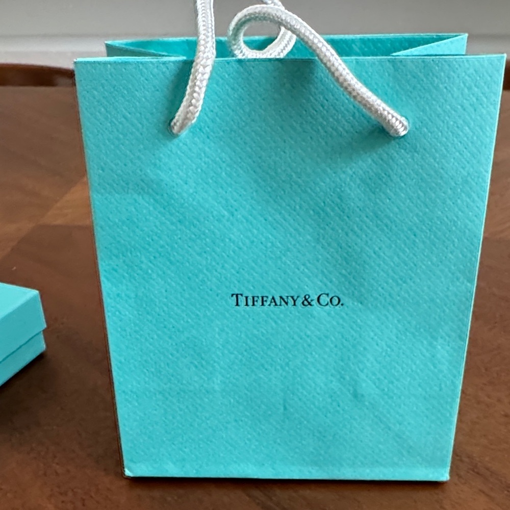 Tiffany & Co. Turquoise Shopping Bag Box and Pouch